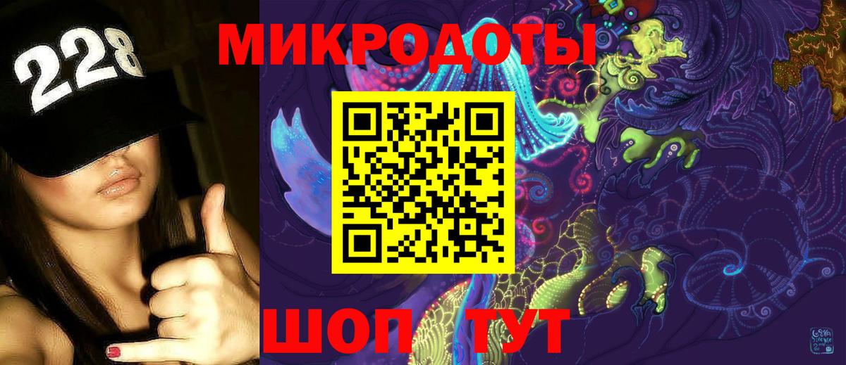 Псилоцибиновые грибы Psilocybine cubensis Минусинск